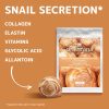 Snail Secretion Filtrate Face Mask