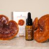 Eye and Eyelid Serum with Reishi, Peptides, and EGF